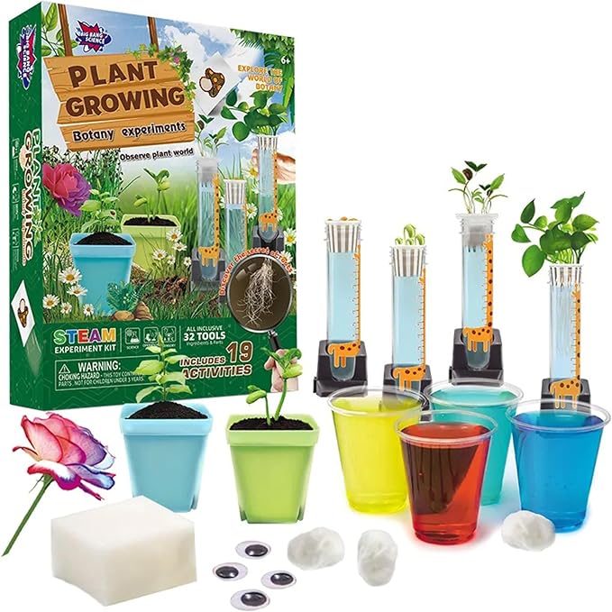 STEM Plant Growing Kit for Kids Ages 8–12 | 19 Hands-On Science Experiments | Learn Transpiration, Hydroponics & More | Use Seeds from Your Kitchen | Educational Gift for Home & School Projects