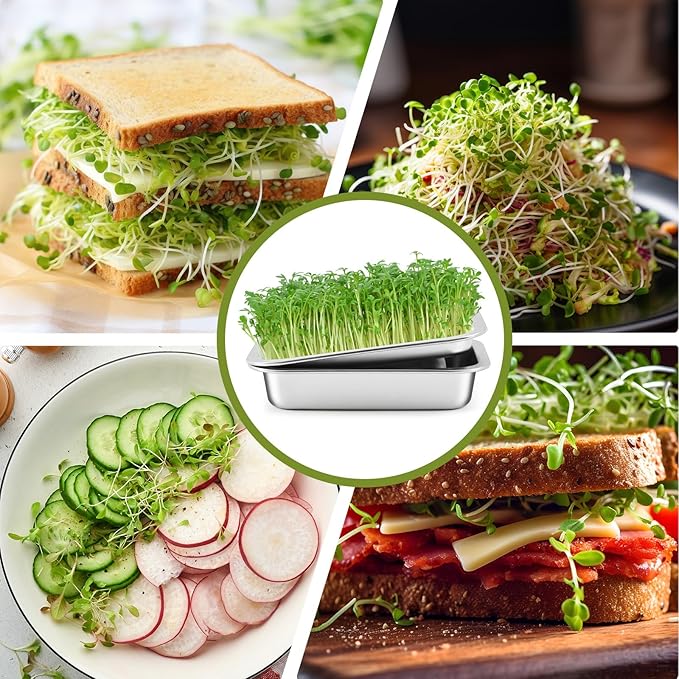 2 Pack Seed Sprouting Kit with Lid, 10.4 Inch Stainless Steel Soilless Culture Germination Tray, Microgreens Growing Kit, Encrypted Mesh Seed Starter Tray for Beans Alfalfa Broccoli Wheat Grass