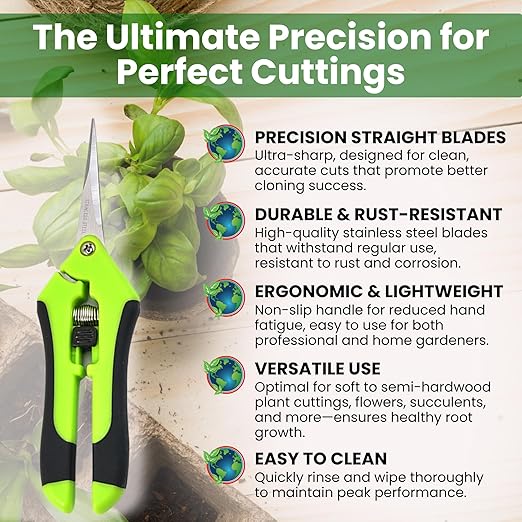 Hormex Rooting Powder #3, Rooting Cubes & Shears Combo - Rooting Hormone for Common Houseplant Cuttings | Root Starter Cubes for Home & Garden Plants | Precision Straight-Blade Shears (50 Grow Plugs)