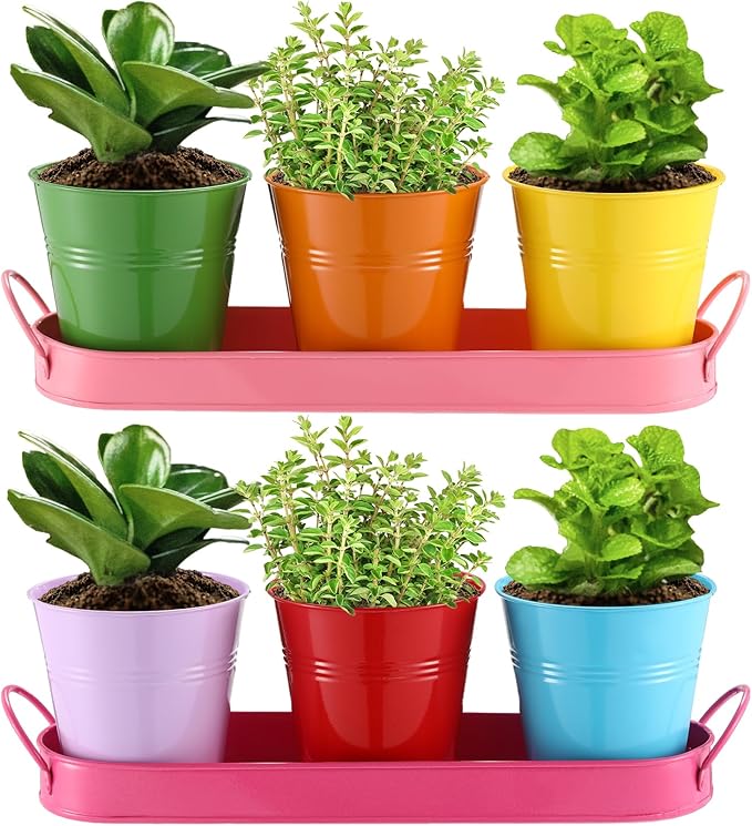 Hicarer 2 Sets Herb Planter with Tray Metal Herb Garden Planter with Drainage Farmhouse Windowsill Pots for Indoor Plants Flower Succulent Outdoor Kitchen Apartment Balcony Window (Mixed Color)