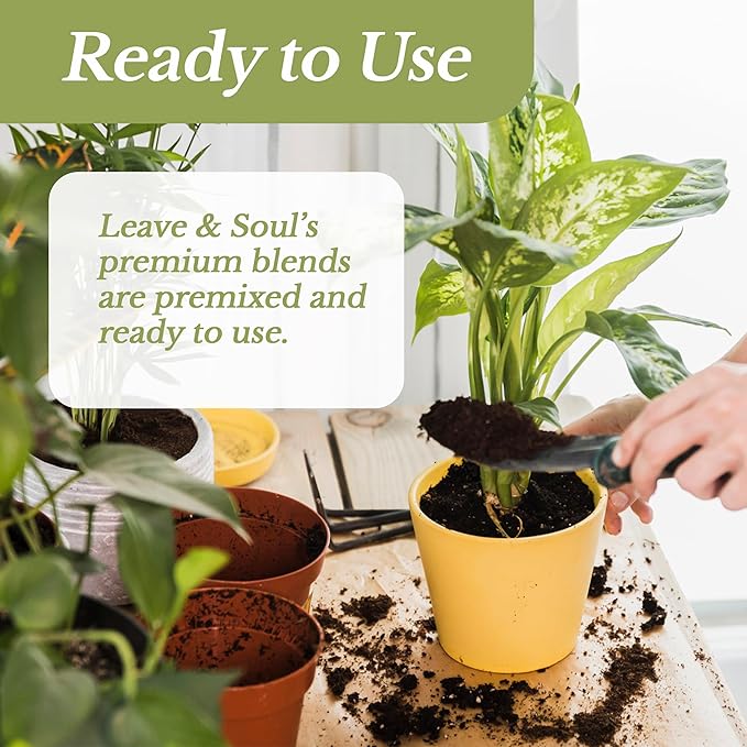 Professional Cactus Soil | Large 2.2 Quarts Ready to Use for Cactus Plants | Peat Moss, Coco Coir, Perlite, Dolomite | Made in USA