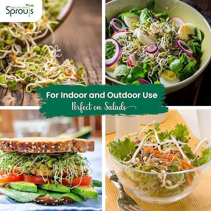 Nature Jims Sprouts Clover Seeds –Organic Non-GMO Sprouting Seeds for Fresh, Nutrient-Rich Seed, Packed with Vitamins, Minerals & Fiber, Ideal for Growing Sprouts and Clover Seed, Reseable Bag, 16 oz