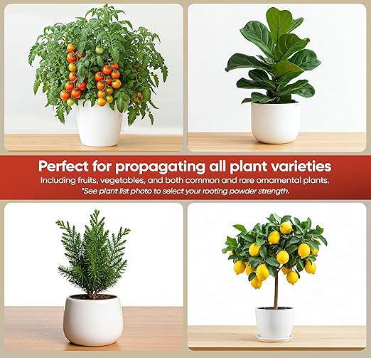 Hormex Rooting Hormone #8 - Powerful Rooting Powder for Semi-Hardwood Houseplant & Tree Cuttings | Stimulates Root Growth to Accelerate Plant Propagation (0.8% IBA)