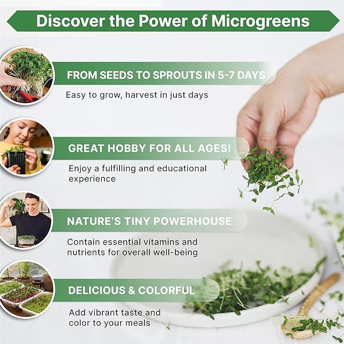 Organo Republic Cress Sprouting & Microgreens Seed - 360,000 Non-GMO Heirloom Seeds, Sprouts in Bulk 1lb Resealable Bag for Planting & Growing Microgreens in Soil, Coconut Coir, Aeroponic & Hydroponic