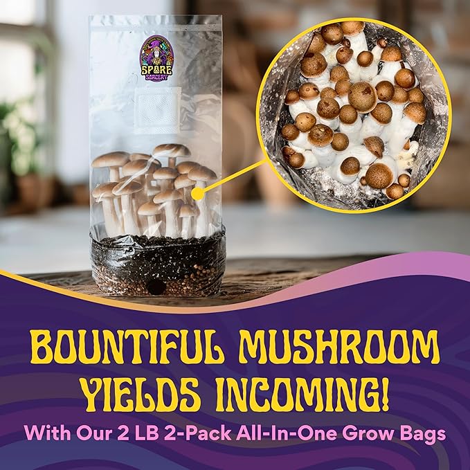 2 LB 2-Pack All-in-One Grow Bag: Up to 32oz of Mushrooms! Nutrient-Enhanced, Injection Port, Just Add Your Own Spores & Grow Like Magic (2 x 2 LB Bags)