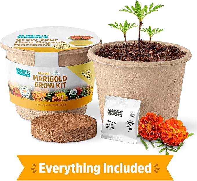 Back to The Roots Organic Marigold Flower Grow Kit with Plantable Starting Pot Soil and Seeds