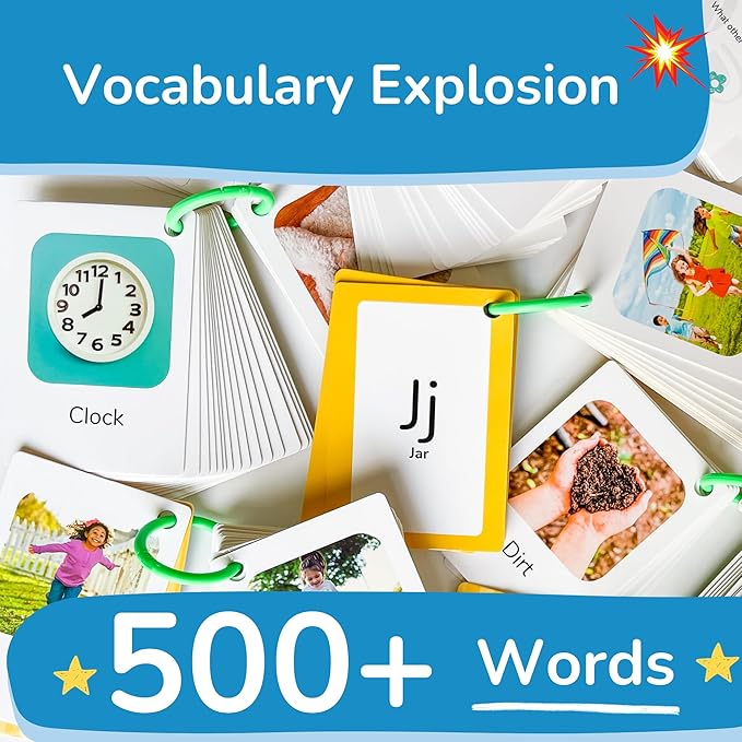 Flash Cards for Toddlers 1–3 with Rings,250 Double-Sided Cards,500 Words–1 Year Old Girl & Boy Gifts – Toddler Flash Cards–Learning & Educational Toys for 1+ Year Old, Montessori Toys for 2 Year Olds