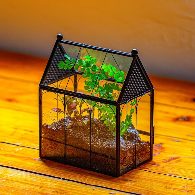NCYP Small Glass Terrarium Enclosure with Mesh for Jumping Spiders, Micro House Shaped Succulent Plants Terrarium, Home Decor Black, 5.8" x 3.8" x 7" (No Plants)