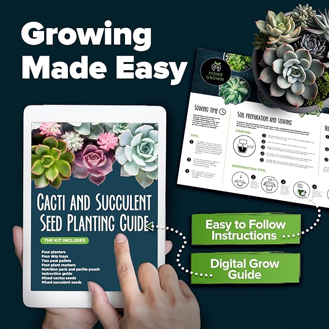 HOME GROWN Succulent & Cactus Seed Kit for Planting – [Enthusiasts Favorites] Premium Cactus & Succulent Starter Kit: 4 Planters, Drip Trays, Markers, Seeds Mix, Soil - DIY Gift Kits