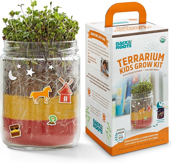 Back to the Roots Terrarium Grow Kit - Easy-to-Use DIY Set for All Ages Small