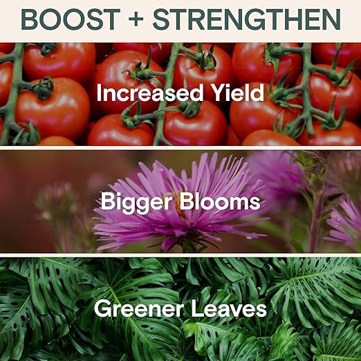 Organic Plant Food Liquid Fertilizer – Indoor & Outdoor Concentrate for Growth, Immunity & Bloom – Houseplants & Garden Fertilizer – Supports Strong Roots, Lush Foliage, High-Yield Harvests