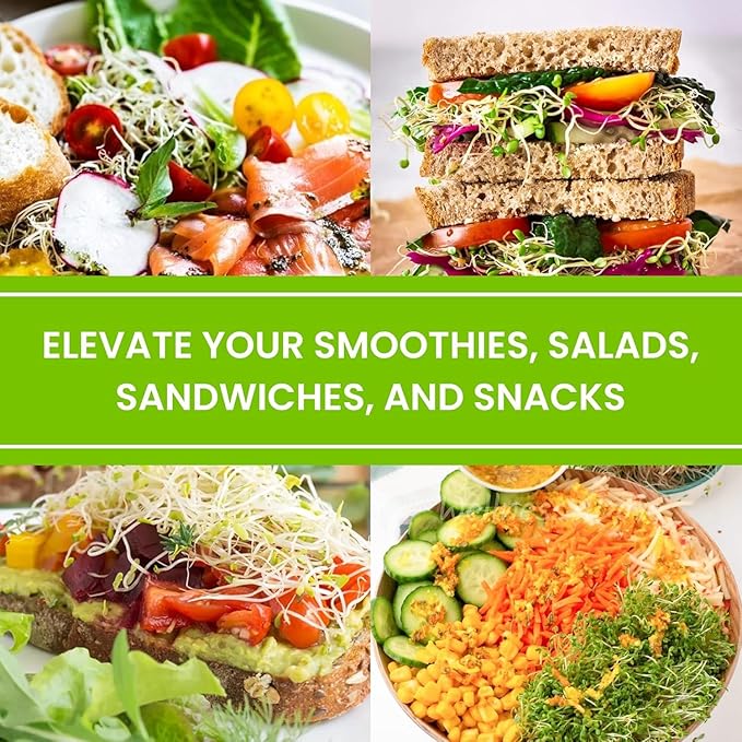 Premium USA Alfalfa Seeds for Sprouting & Microgreens with High Germination Rate. (4oz)