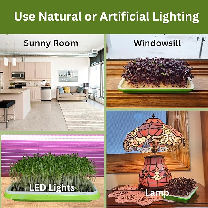 Complete Home Microgreens Kit - Organic Indoor Garden System - Includes 2 Sets of Reusable Trays, Premium Spray Mister, Coco Coir Growing Medium, 2 Packs Organic Seeds – Radish and Broccoli