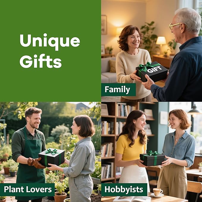 Bonsai Tree Kit for Beginners - Unique DIY Japanese Bonsai Trees, Crafts for Adults, for Women & Men,Complete Indoor Plant Kit