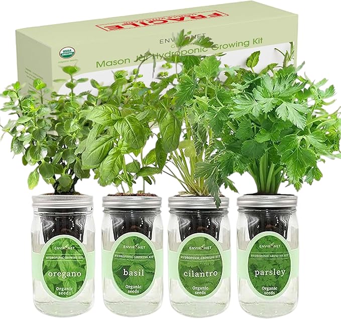 Hydroponic Herb Growing Kit Set, Self-Watering Mason Jar Herb Garden Starter Kit Indoor, Grow 4 Kinds of Herbs from Seeds (Cilantro,Basil,Parsley&Oregano)