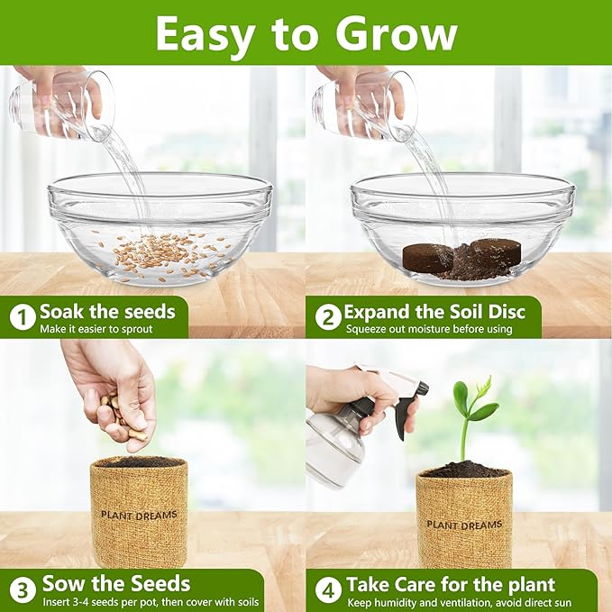 Bonsai Tree Kit, Bonsai Starter Kit with Seeds & Tools, Tree Live Plants Indoor, Gardening Gifts for Women Men Mom Father Plant Lover, Birthday Thanksgiving