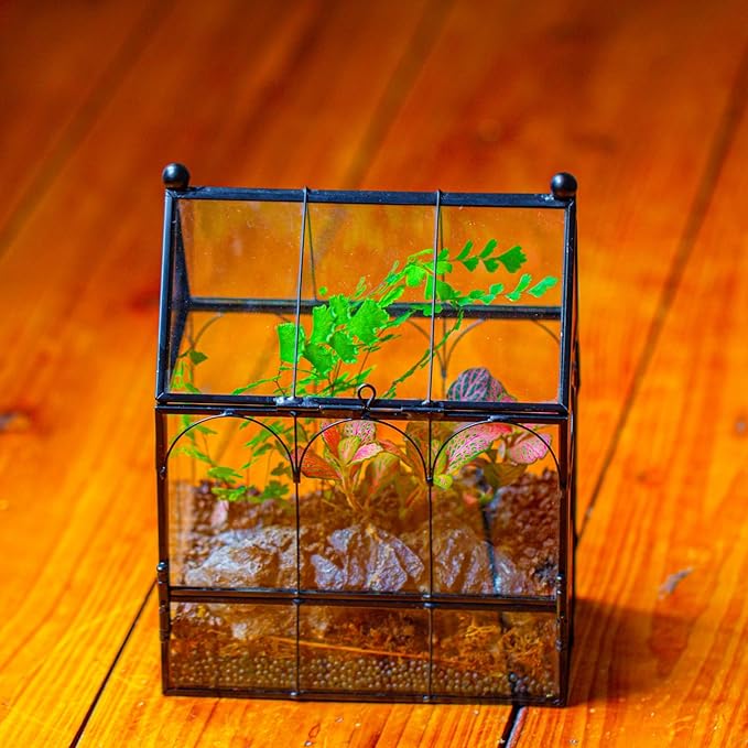 NCYP Small Glass Terrarium Enclosure with Mesh for Jumping Spiders, Micro House Shaped Succulent Plants Terrarium, Home Decor Black, 5.8" x 3.8" x 7" (No Plants)