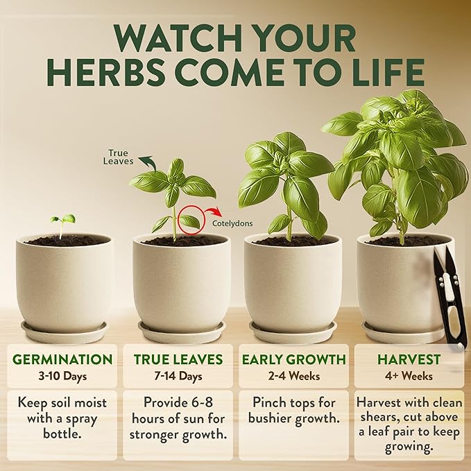 HOME GROWN Indoor Organic Herb Garden Kit – Unique Christmas Gift for Adults, Men, & Women - Grow 4 Herb Seeds for Kitchen Window Garden – Beginner DIY Hobby Gardening Gift for Plant Lovers, Mom & Dad