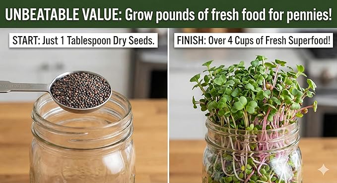 Todd's Seeds Broccoli and Friends Sprouting Seed Mix: Broccoli, Crimson Clover, Red Radish, Alfalfa, Non-GMO, Chemical Free, High Germination (1/2 Pound)