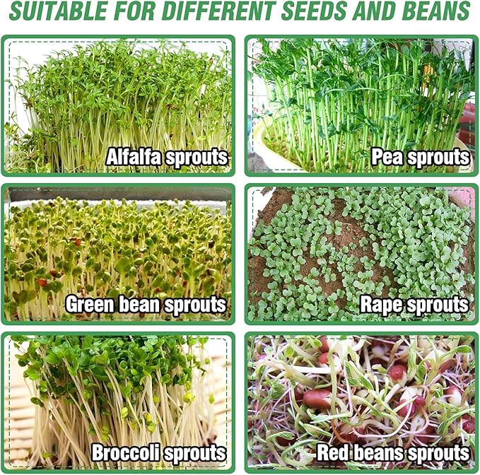 Stainless Steel Seed Sprouting Kit - 3-tier Microgreens Growing Tray 6in Dia, Stackable Round Seed Sprouter Maker with Encrypted Mesh, Sprouts Grower for Beans Broccoli Alfalfa Seeds Wheat Grass