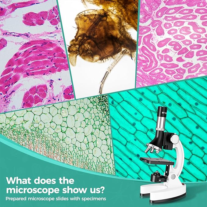 USCAMEL Kids Microscope Science Kit - 1200X Microscope for Kids 8-12 with Prepared Slides Metal Body LED Light Carrying Box Educational Compound Toy Set for Children Ages 5 Year Old Boys & Girls Gift