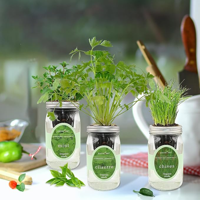 Hydroponic Herb Growing Kit Set, Self-Watering Mason Jar Herb Garden Starter Kit Indoor, New Christmas Gift for Mom (Cilantro, Mint & Chives)