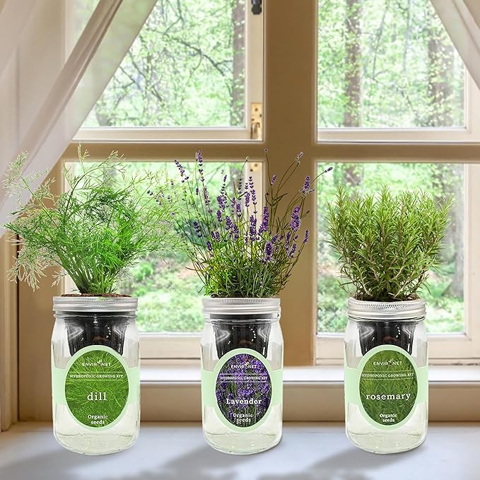 Hydroponic Herb Growing Kit Set, Self-Watering Mason Jar Herb Garden Starter Kit Indoor, New Christmas Gift for Mom (Dill, Lavender & Rosemary)