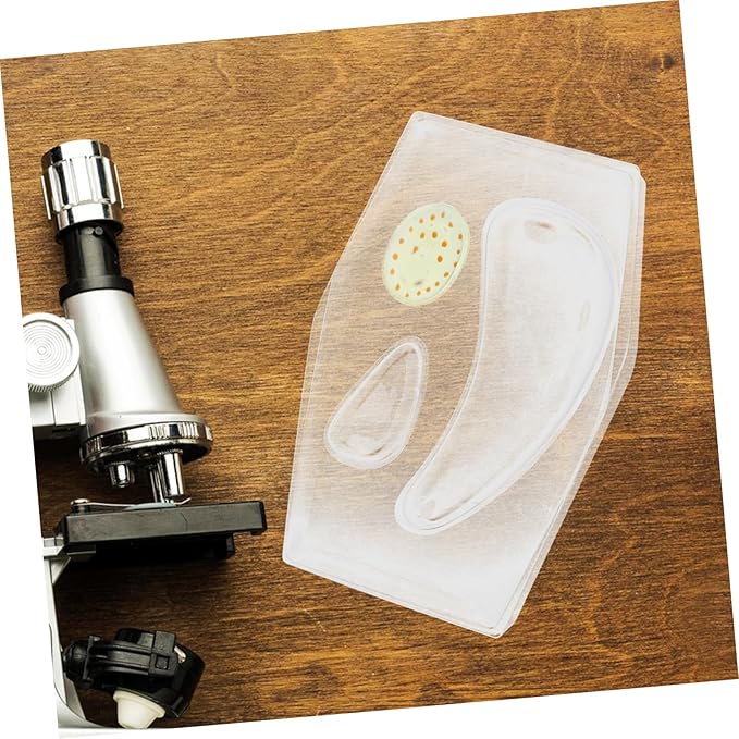 Early Educational Stem Plant Cell Model Kit for Classroom Science Learning Portable Interactive Biology Tool with Detailed Experiment Guide for Teachers