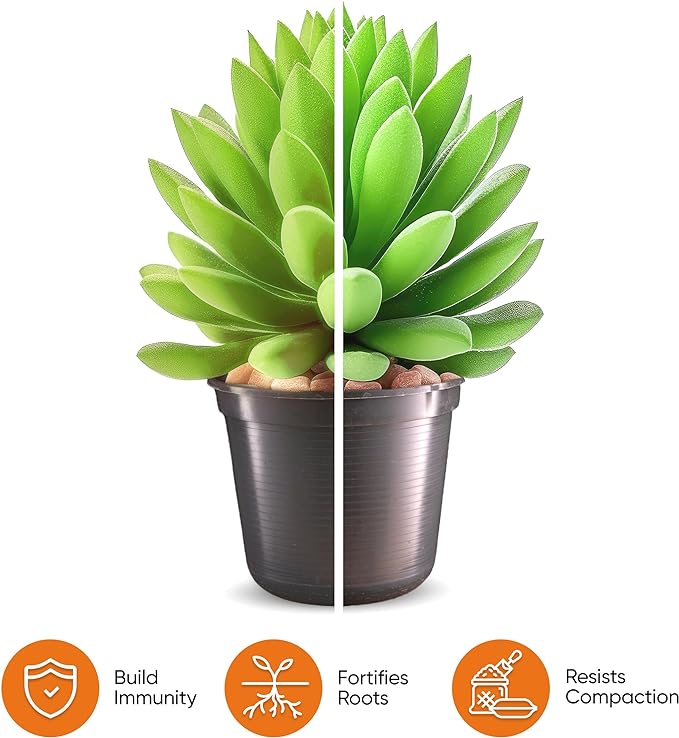 Molly's Succulent Mix - Premium Gritty Soilless Potting Mix for Succulents, Cactus and Bonsai - Contains Akadama, Hyuga, Bark Fines, Pumice, Lava Rock, Mycorrhizae 3 Dry Quarts