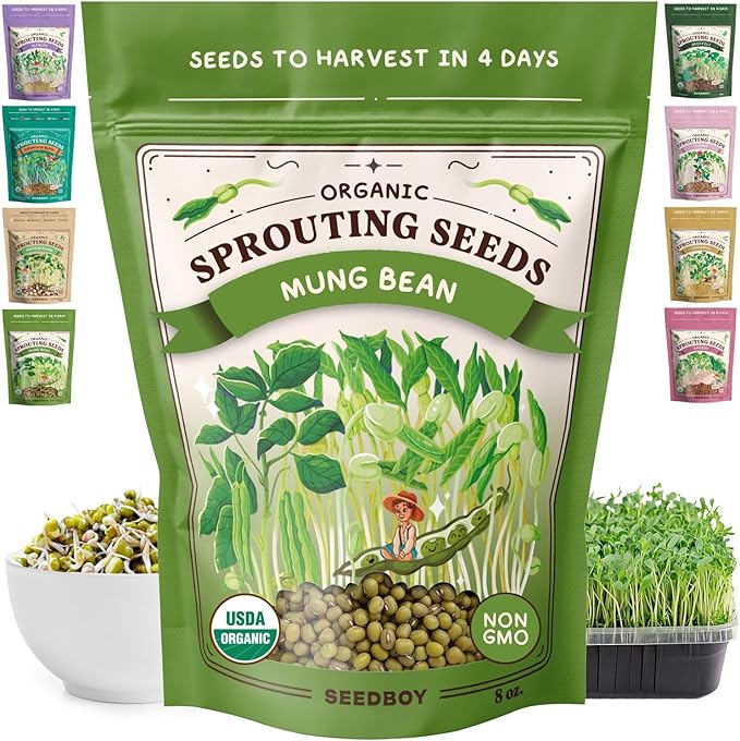 Seedboy Organic Non-GMO Mung Bean Seeds for Sprouting - Microgreens Sprouting Seeds - 8 oz Bag Makes 5 Quarts / 15 Servings (Mung Bean)