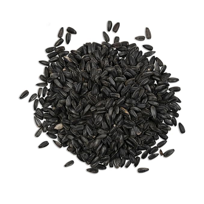The Sprout House Sunflower Seeds 1LB - Certified Organic Black Oil Sunflower Seeds - Fast Growing- high yielding - NonGMO - Grow Sunflower Shoots Easily