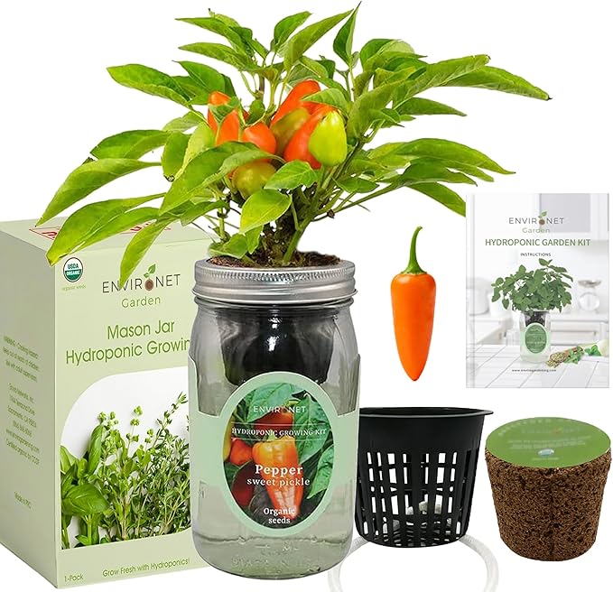 Hydroponic Pepper Growing Kit, Self-Watering Mason Jar Vegetable Starter Kit Indoor, Grow Peppers from Organic Seeds (Sweet Pickle Pepper)