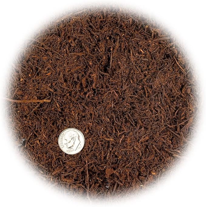 Premium New Zealand Tree Fern by GARDENERA - Orchid and Epiphytal Plants Growing Medium and Reptile Substrate - 4 Quart Bag