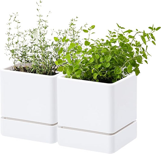 D'vine Dev 4 Inch Herb Planter Pot, Plastic Planter with Drainage Holes and Saucer, Modern Decorative Gardening Pot for Indoor Plants, Flowers, Herbs, Succulents, White, Set of 2, 76-Y-A2-1