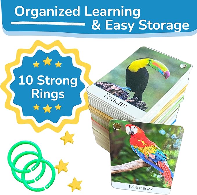Flash Cards for Toddlers 1–3 with Rings,250 Double-Sided Cards,500 Words–1 Year Old Girl & Boy Gifts – Toddler Flash Cards–Learning & Educational Toys for 1+ Year Old, Montessori Toys for 2 Year Olds