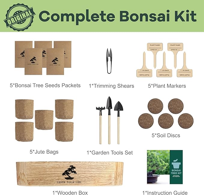 Bonsai Tree Kit for Beginners - Unique DIY Japanese Bonsai Trees, Crafts for Adults, for Women & Men,Complete Indoor Plant Kit