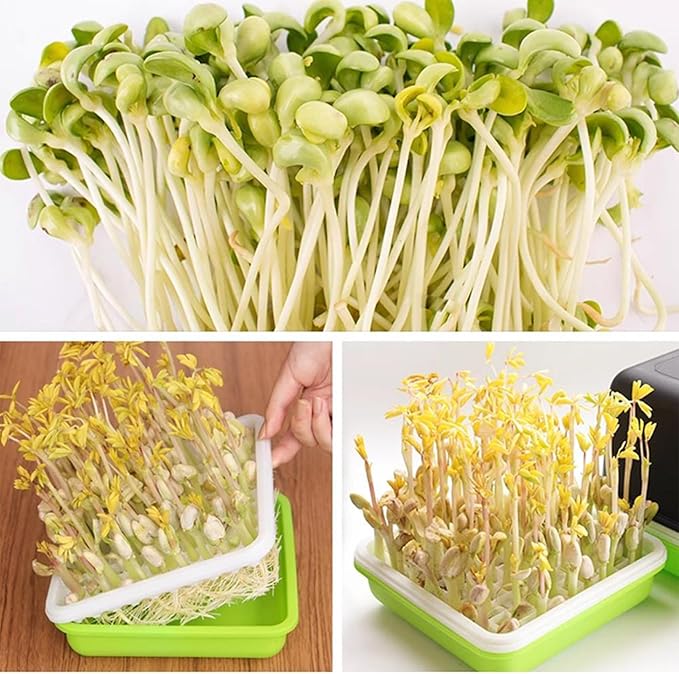 10x12 Microgreens Growing Trays, 100 Holes Sprouts Growing Kit with Shade Cover Planting Plate Mesh Plate Water Tray Reusable Seed Starter for Peanut