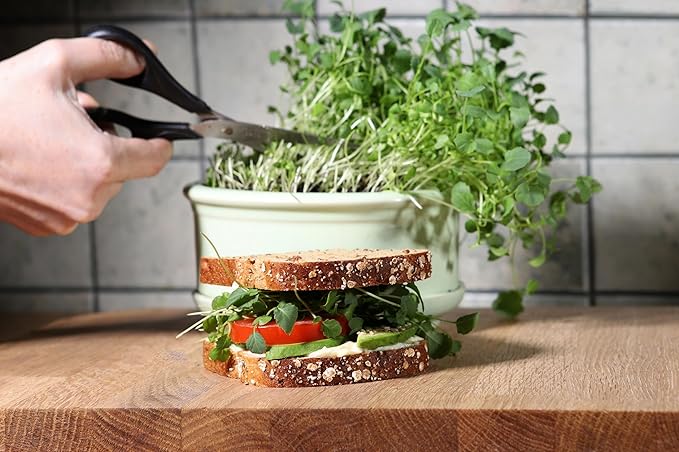 Organic Broccoli Seeds for Sprouting Microgreens – Heirloom, Non GMO Seeds to Plant & Grow Organic Di Cicco Broccoli in Home Indoor Hydroponic Gardens – Great Gardening Gift (4 Ounces)
