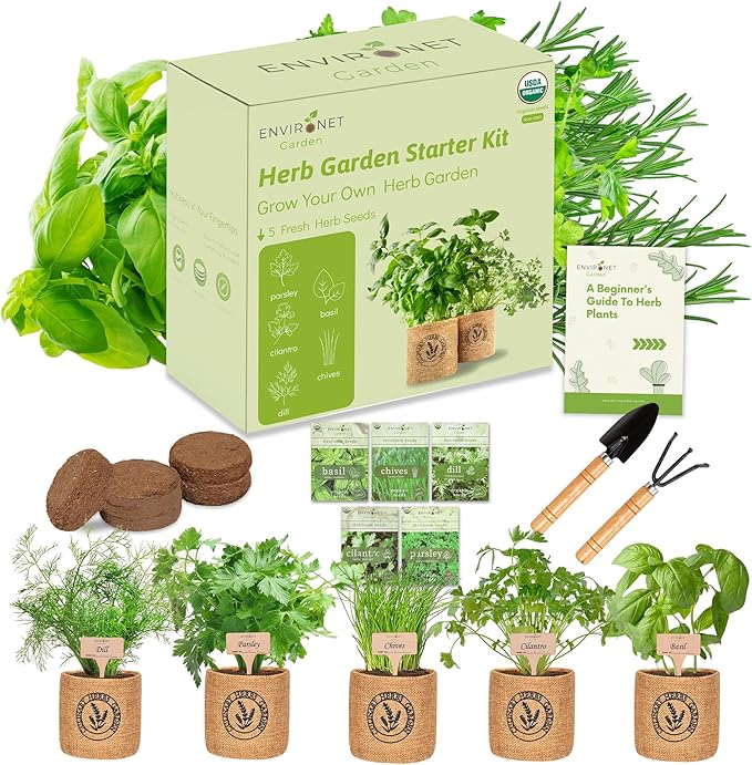 5 Herb Indoor Garden Kit- Unique Chrismas Herb Gardening Gift, Home Kitchen Gift for Mom, Friends, and Gardeners, Basil, Parsley, Chives, Cilantro, Dill