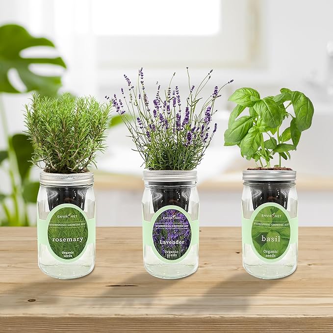Hydroponic Herb Growing Kit Set, Self-Watering Mason Jar Herb Garden Starter Kit Indoor, New Christmas Gift for Mom (Lavender, Rosemary & Basil)