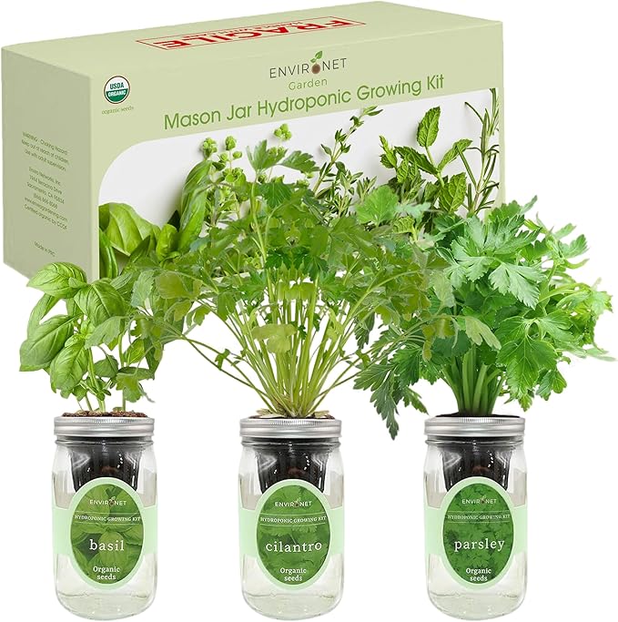 Hydroponic Herb Growing Kit Set, Self-Watering Mason Jar Herb Garden Starter Kit Indoor, Windowsill Herbs Garden, Grow Your Own Herbs from Organic Seeds (Basil, Cilantro and Parsley)