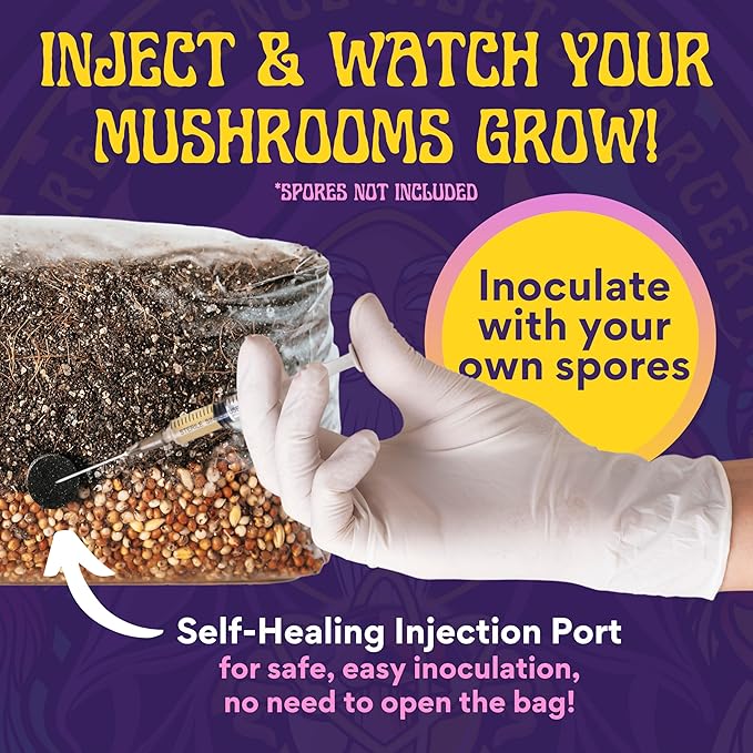 2 LB 2-Pack All-in-One Grow Bag: Up to 32oz of Mushrooms! Nutrient-Enhanced, Injection Port, Just Add Your Own Spores & Grow Like Magic (2 x 2 LB Bags)