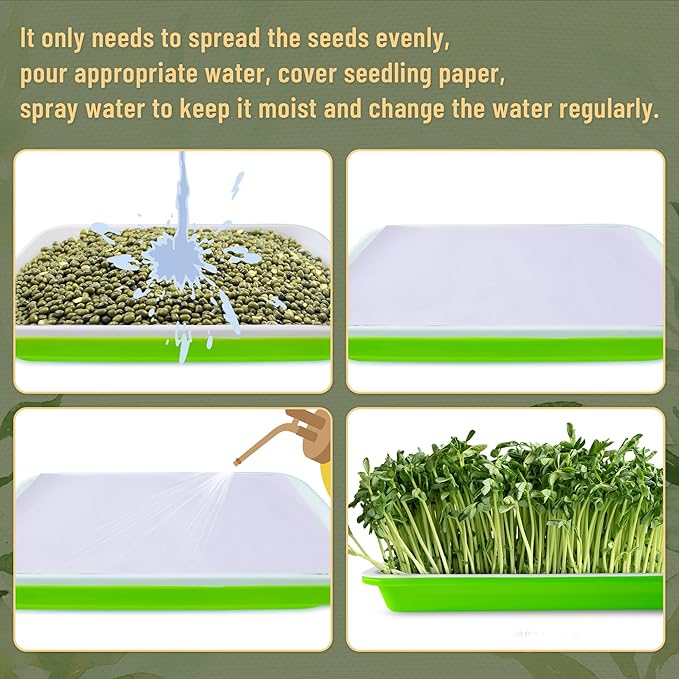 Pack 6 of Seed Sprouter Tray with Drain Holes,Seed Germination Tray Kit BPA Free Nursery,Soil-Free Wheatgrass Sprouter Microgreens Growing Kit (Green-6 Pack)