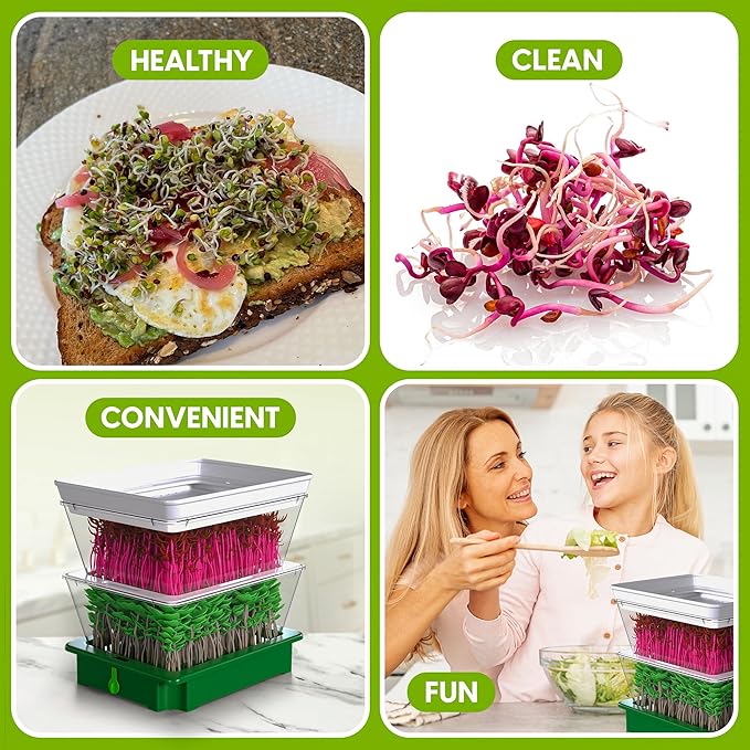 Premium Alfalfa Sprouting Seeds – Non GMO, Organic Seeds from The USA (2-Tier Sprouting Kit)