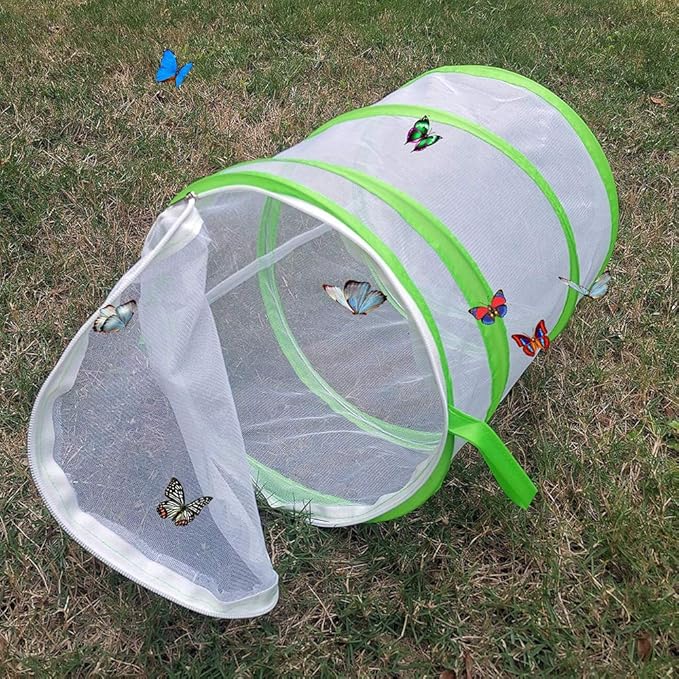 Butterfly and Insect Habitat Cage Terrarium 12" x 14"