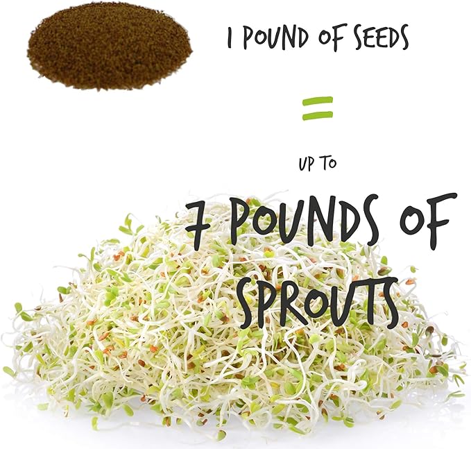 Handy Pantry Organic Sprouting Seed Assortments - Microgreens, Sprout Seeds Variety Pack (12 Pack - Beginners Dozen)