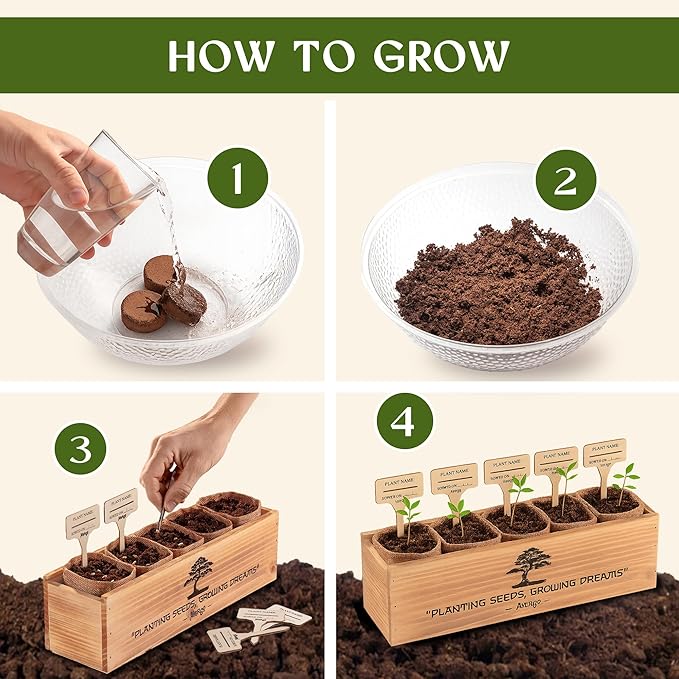 DIY Bonsai Tree Kit for Beginners – 5X Unique Japanese Bonzai Trees, Complete Indoor Bonsai Starter Kit for Growing Bonsai Plants w/Tools & Planters – DIY Christmas Gardening Gifts for Mom