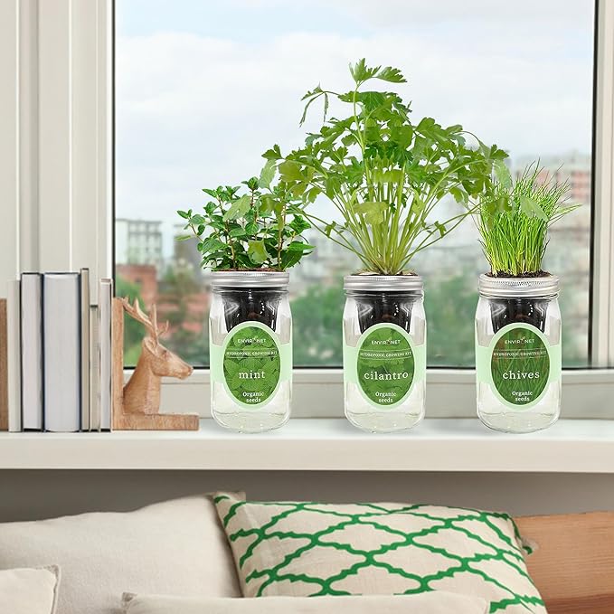 Hydroponic Herb Growing Kit Set, Self-Watering Mason Jar Herb Garden Starter Kit Indoor, New Christmas Gift for Mom (Cilantro, Mint & Chives)