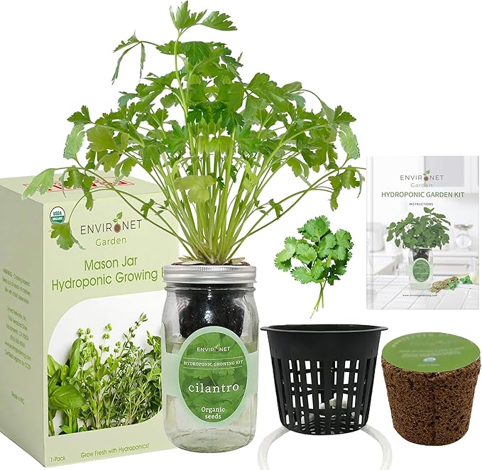 Hydroponic Herb Growing Kit, Self-Watering Mason Jar Window Herb Garden Starter Kit Indoor, Grow Your Own Herbs from Organic Seeds (Cilantro)