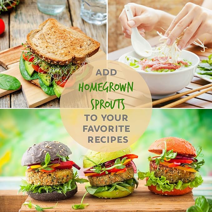 Handy Pantry Organic Sprouting Seed Assortments - Microgreens, Sprout Seeds Variety Pack (12 Pack - Beginners Dozen)